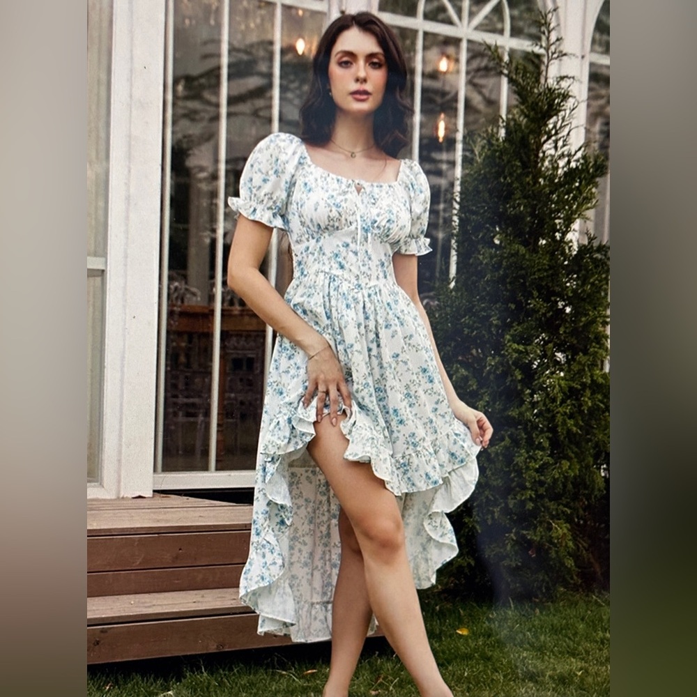 Scarlet Darkness NWT  victorian floral dress 2x (18)